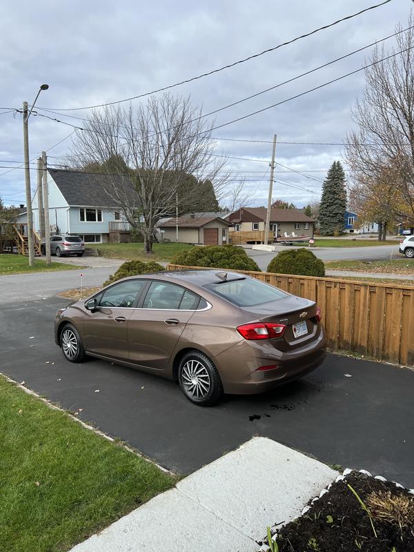 Here are these hub caps in place on my car