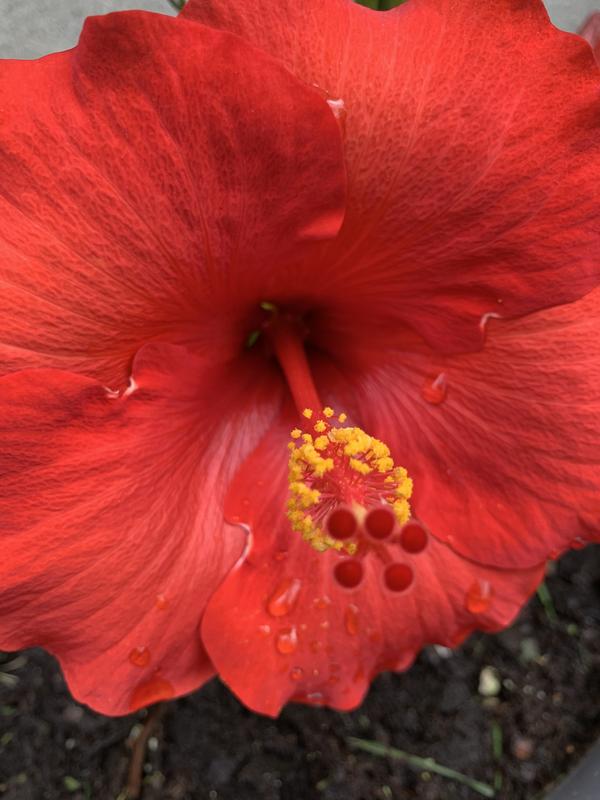 Photo - commentaire&nbsp;8.