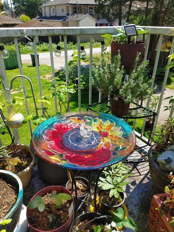 Photo - commentaire&nbsp;5.