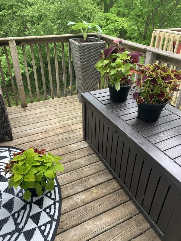 Photo - commentaire 4.