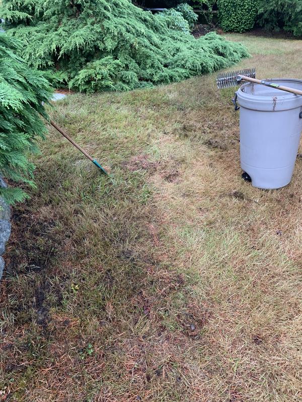 Photo - commentaire 3.