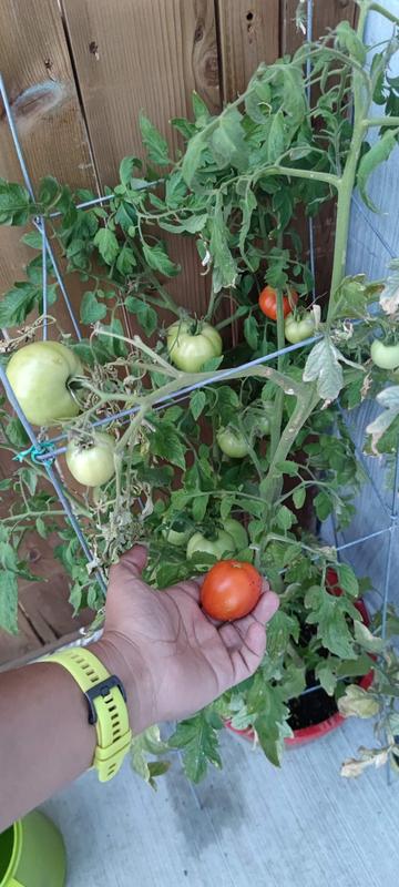 Photo - commentaire&nbsp;1.