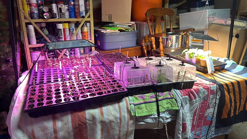 Photo - commentaire&nbsp;2.