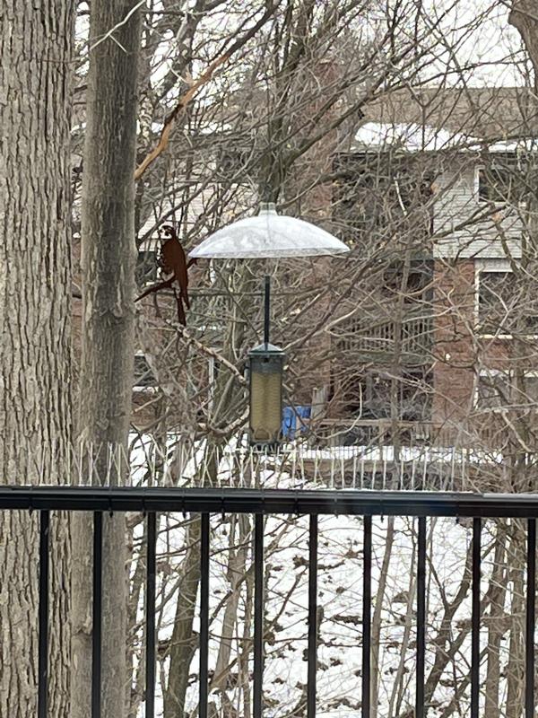 Photo - commentaire 2.