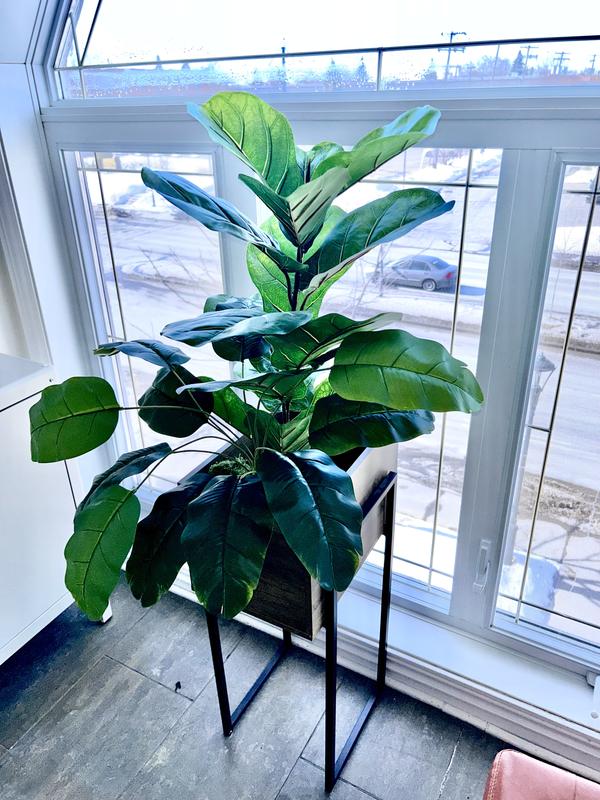 Avec une petite amie