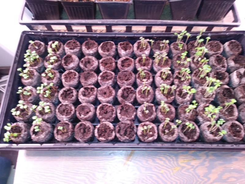 Photo - commentaire&nbsp;5.