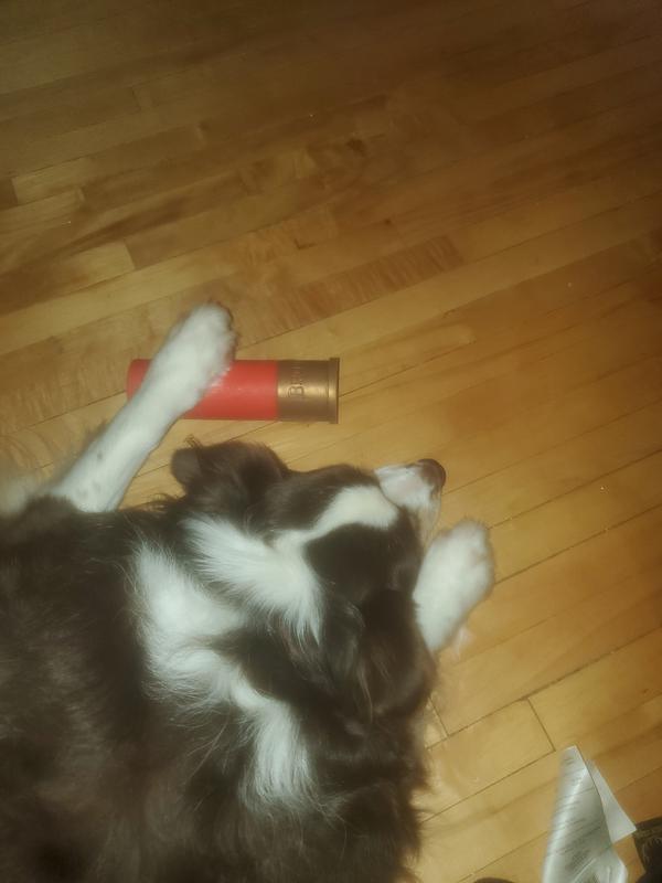 Photo - commentaire&nbsp;1.