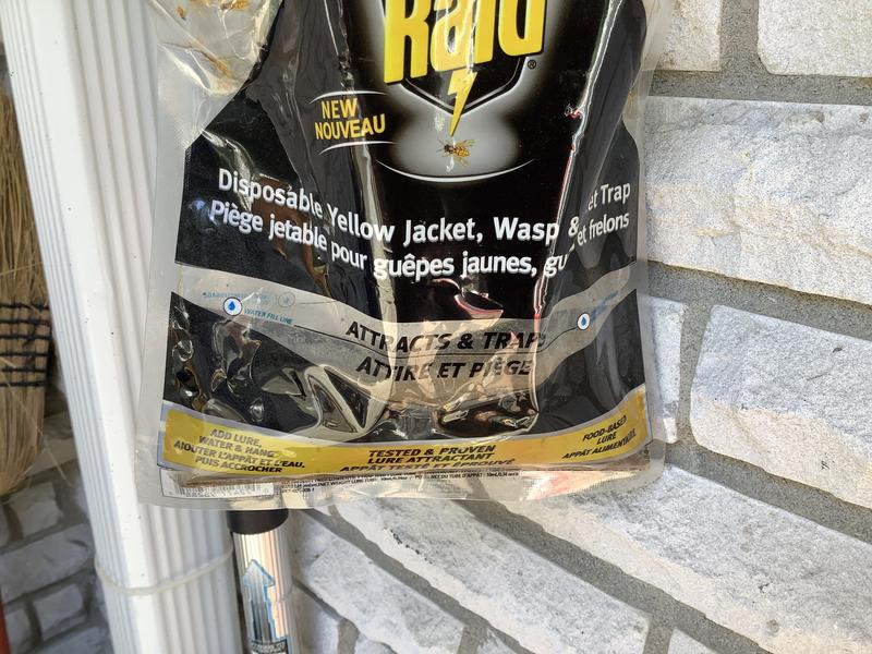 Photo - commentaire 4.