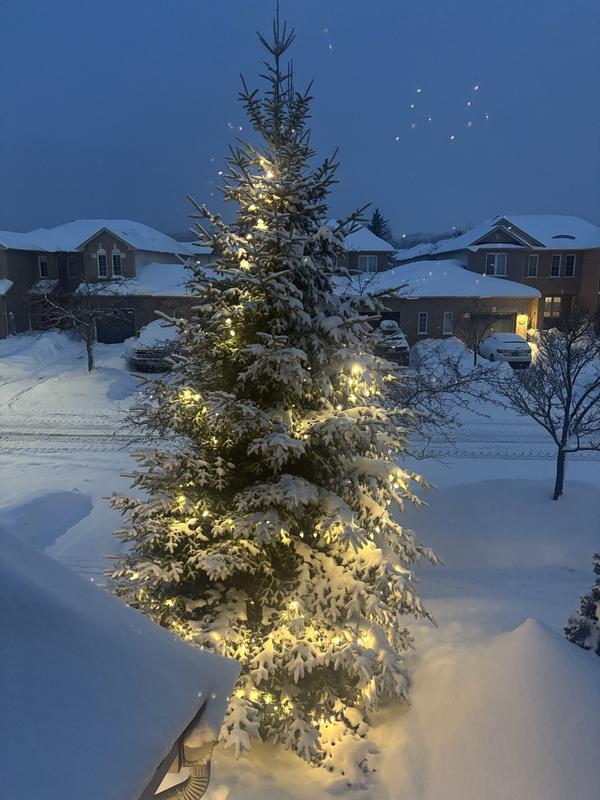 Photo - commentaire&nbsp;1.