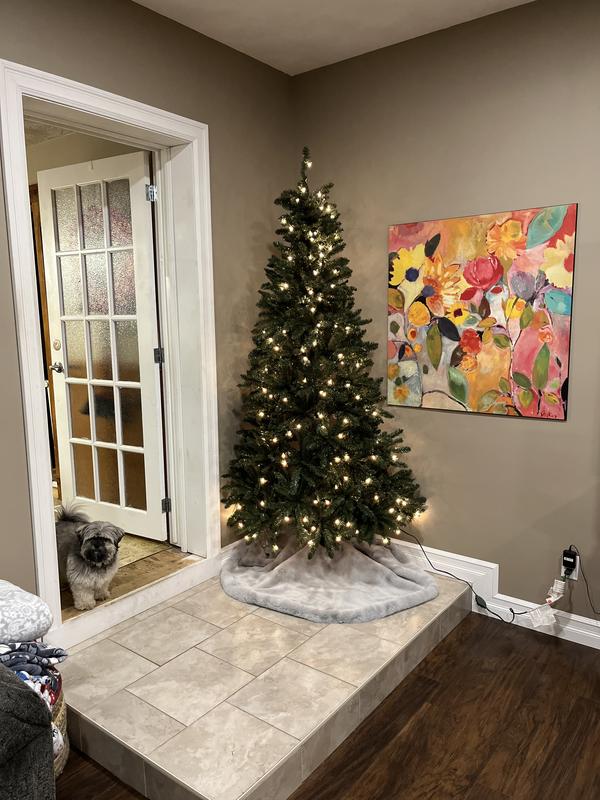 Photo - commentaire&nbsp;1.