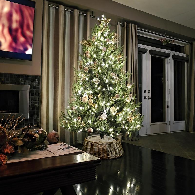 Absolutely gorgeous!