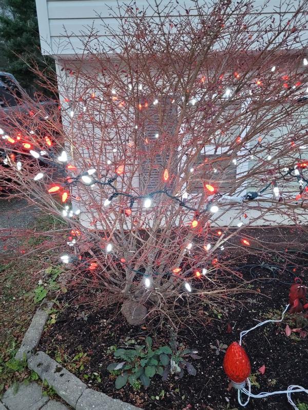 Photo - commentaire 2.