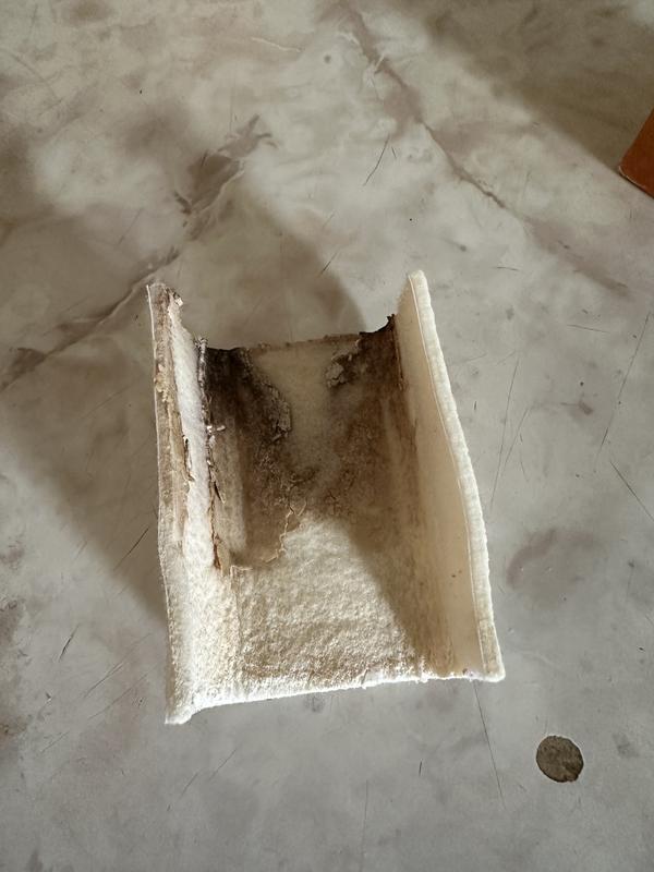 This is after three weeks of use and regular maintenance