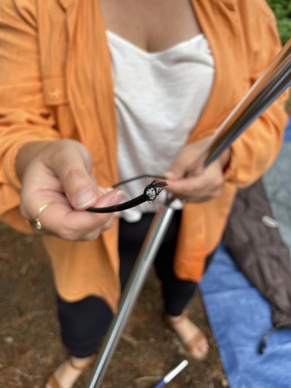 Photo - commentaire&nbsp;6.