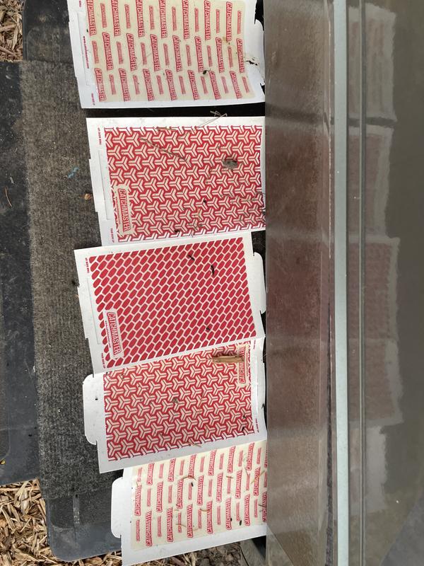 Photo - commentaire&nbsp;2.