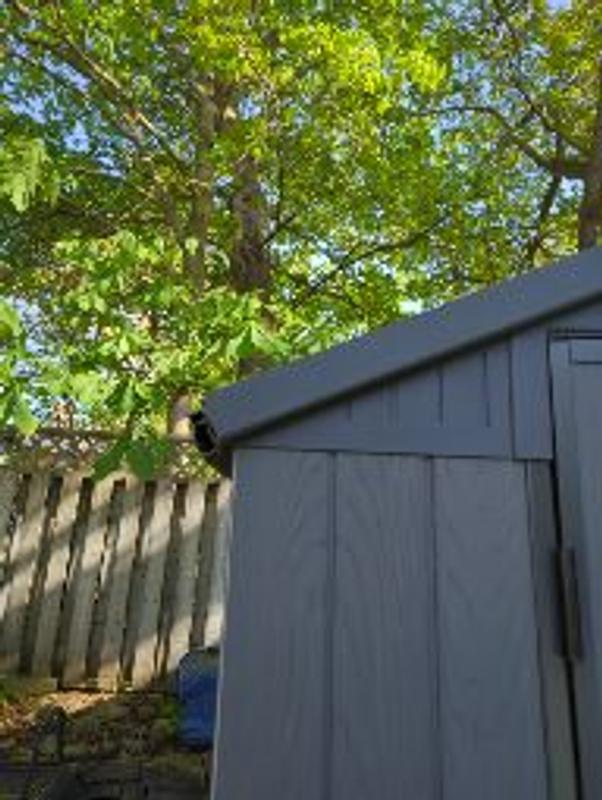 Photo - commentaire&nbsp;2.