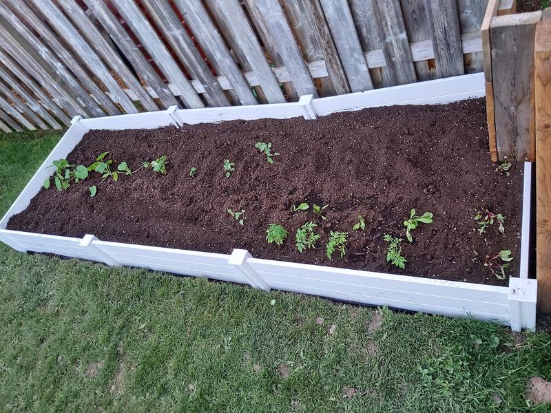 Photo - commentaire 6.