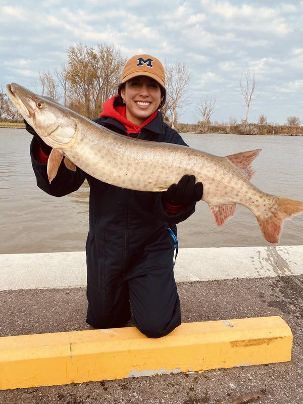 Photo - commentaire&nbsp;2.