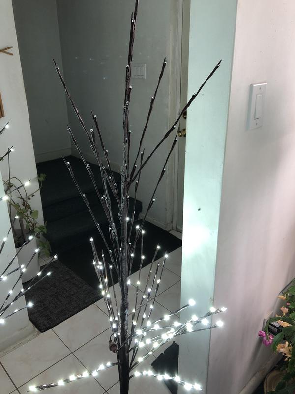 Photo - commentaire&nbsp;5.