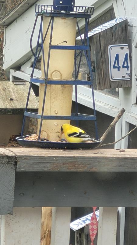 Photo - commentaire 6.