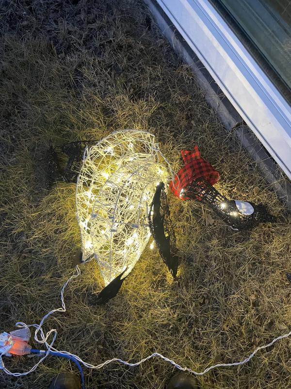 Photo - commentaire 7.