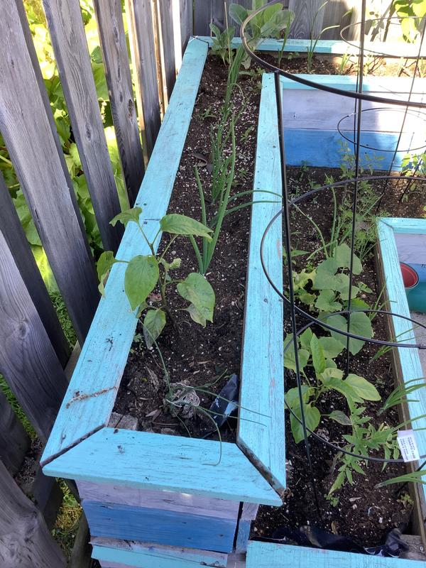 Photo - commentaire 2.