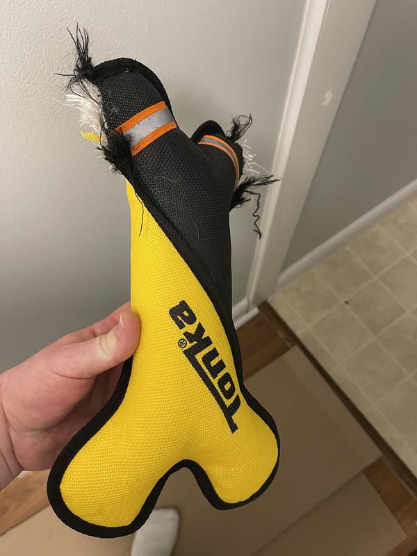 Photo - commentaire 1.