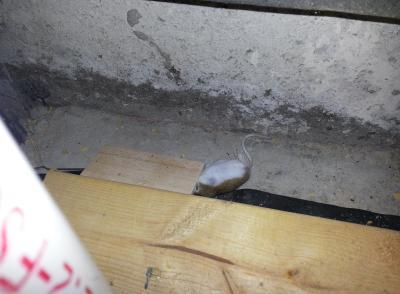 Photo - commentaire&nbsp;2.