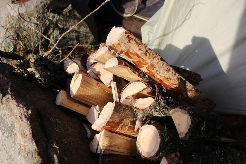 Some of the wood I cut with the woods folding camp saw
