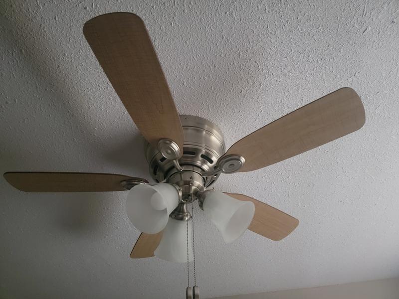 Photo - commentaire 6.