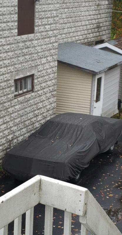 belair 1973 de 22 pied!