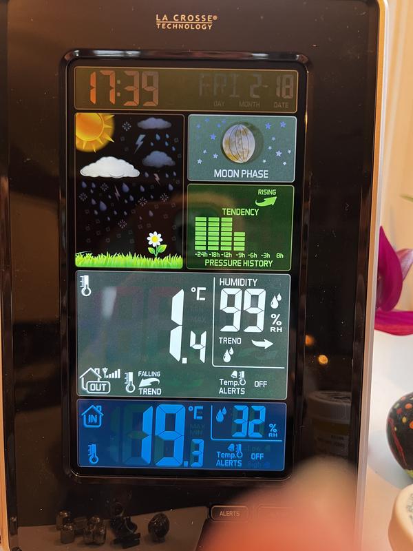 Shows sunny but overcast and snowing