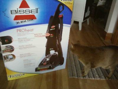 Theres a new sherriff in town..:)