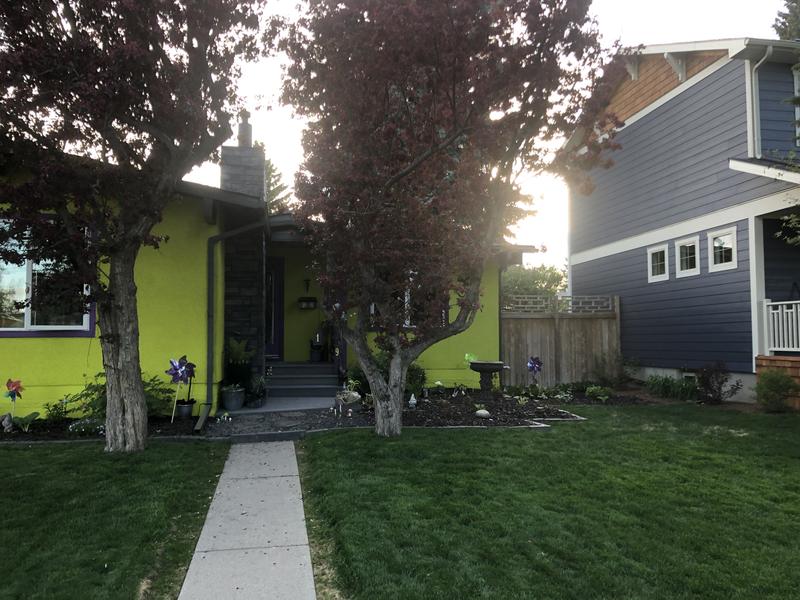 After 1st feeding and 1st mow of spring