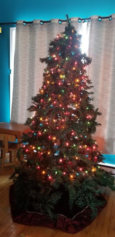 Just lights, no ornaments!