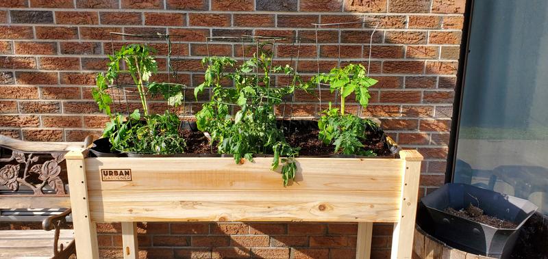 Photo - commentaire 2.