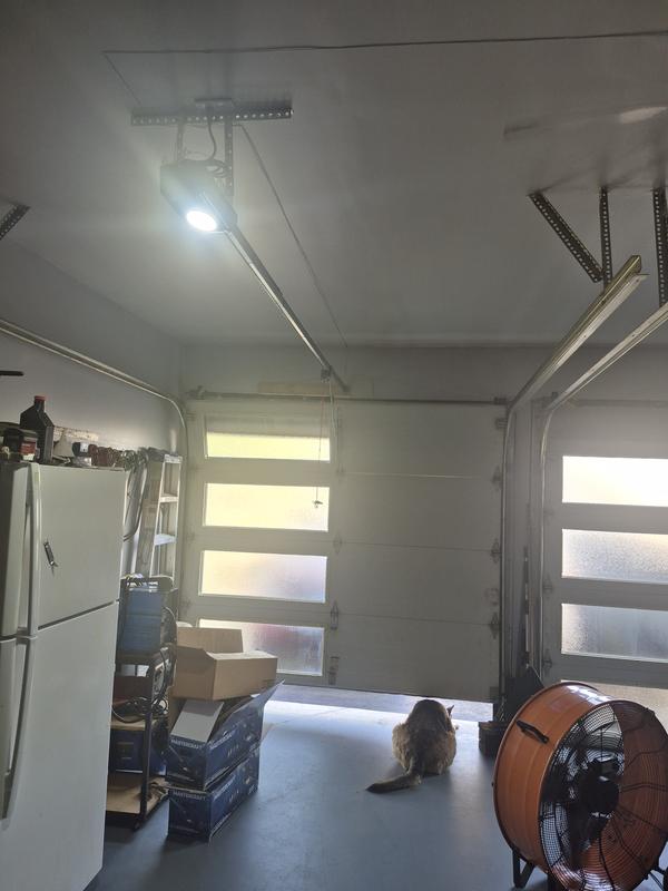 Photo - commentaire 2.