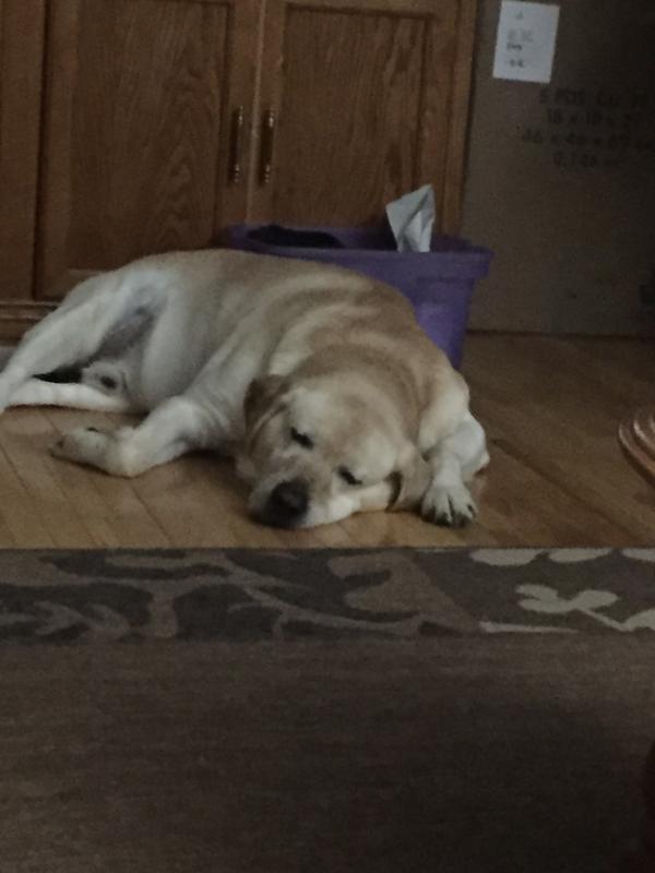 Photo - commentaire 1.