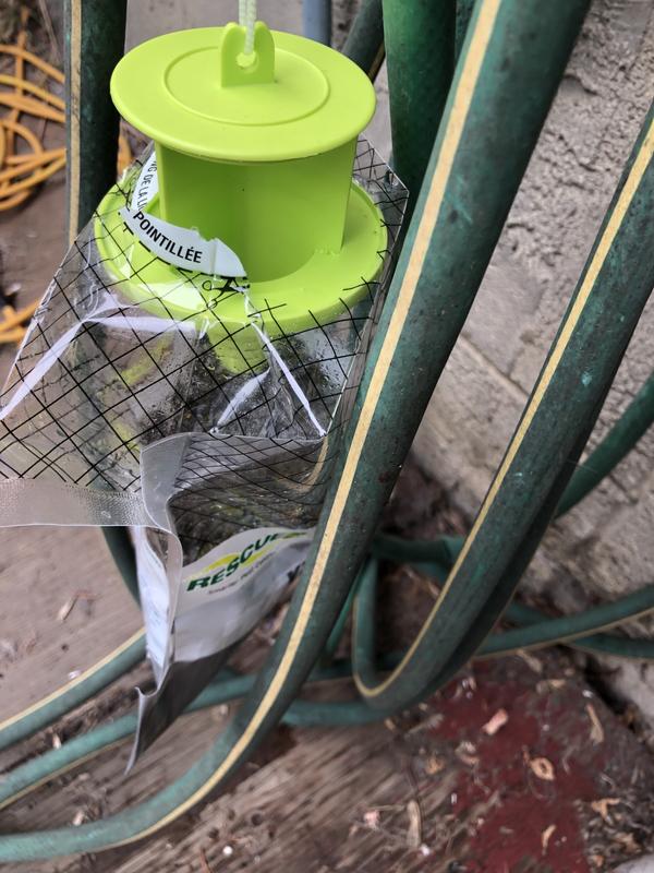 Photo - commentaire 8.