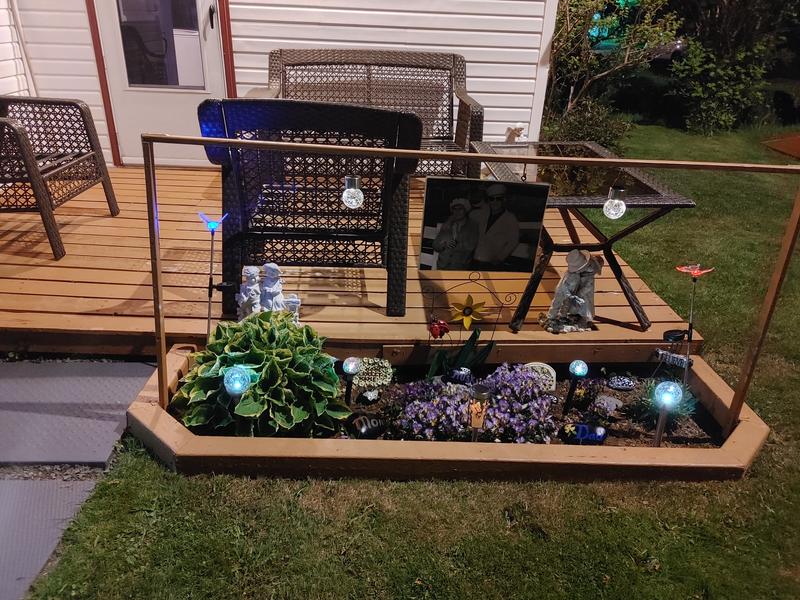 Photo - commentaire 2.