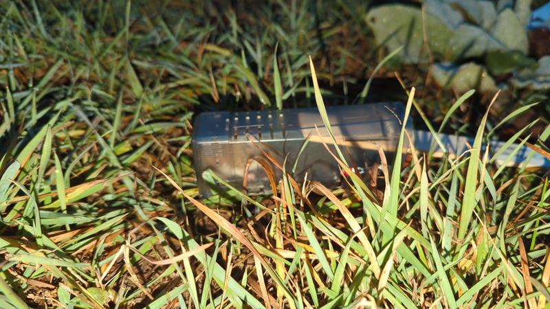 Photo - commentaire 3.