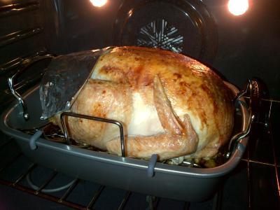 Turkey in Oven
