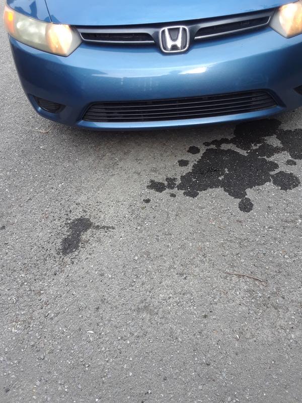 Photo - commentaire&nbsp;2.