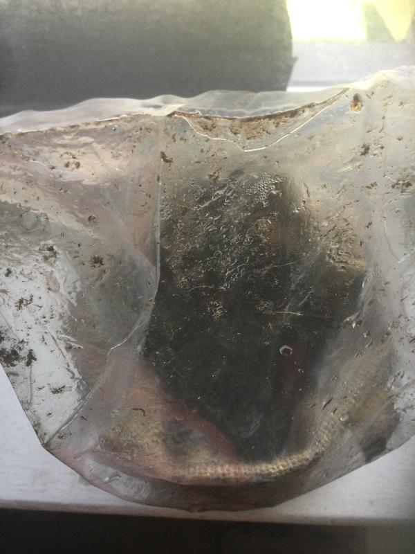 Photo - commentaire&nbsp;2.