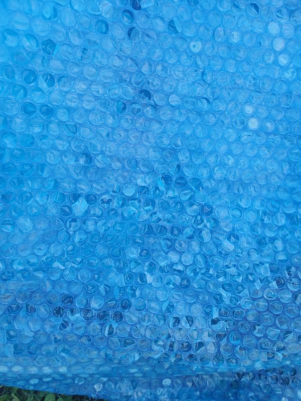 all those little circles float around your pool.