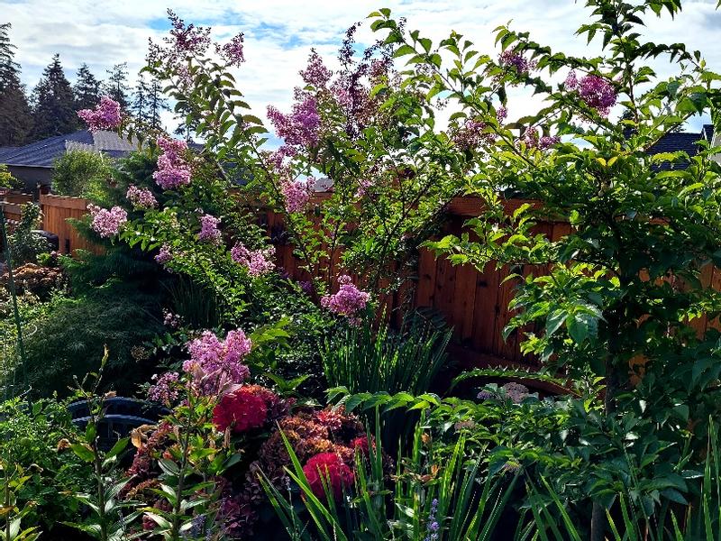 Photo - commentaire&nbsp;6.