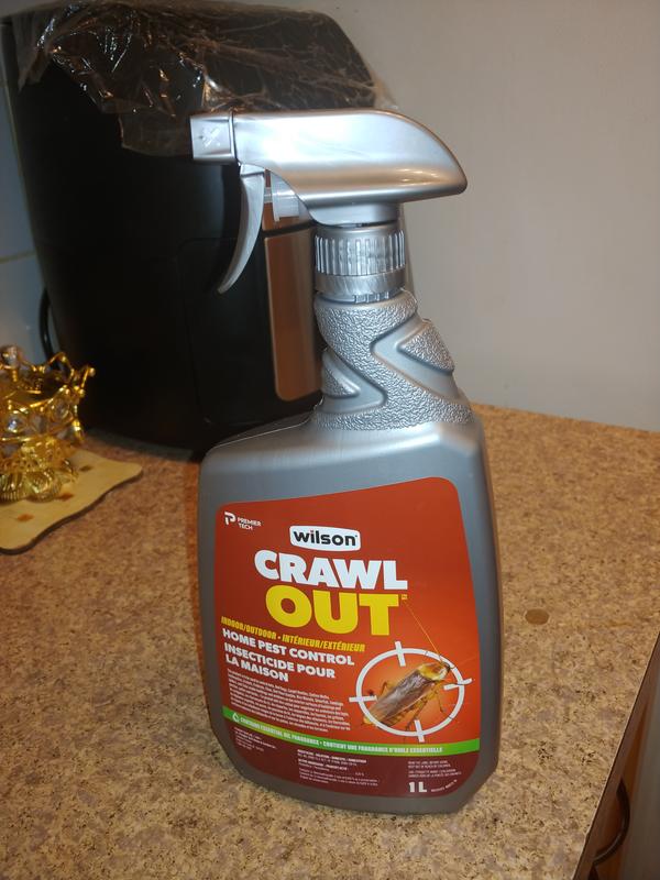 Photo - commentaire 1.