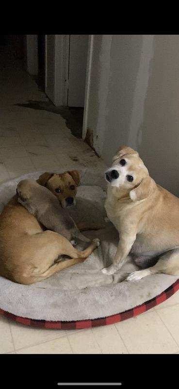 Photo - commentaire 6.