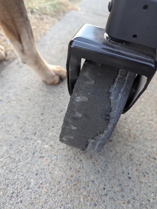 Photo - commentaire 1.