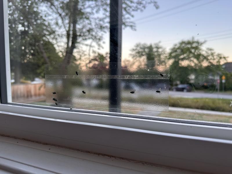 Photo - commentaire&nbsp;2.